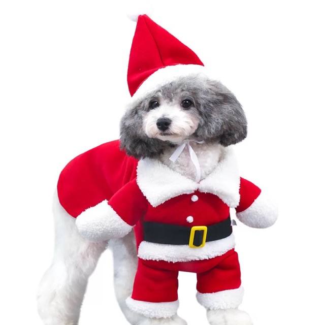 dog christmas clothes