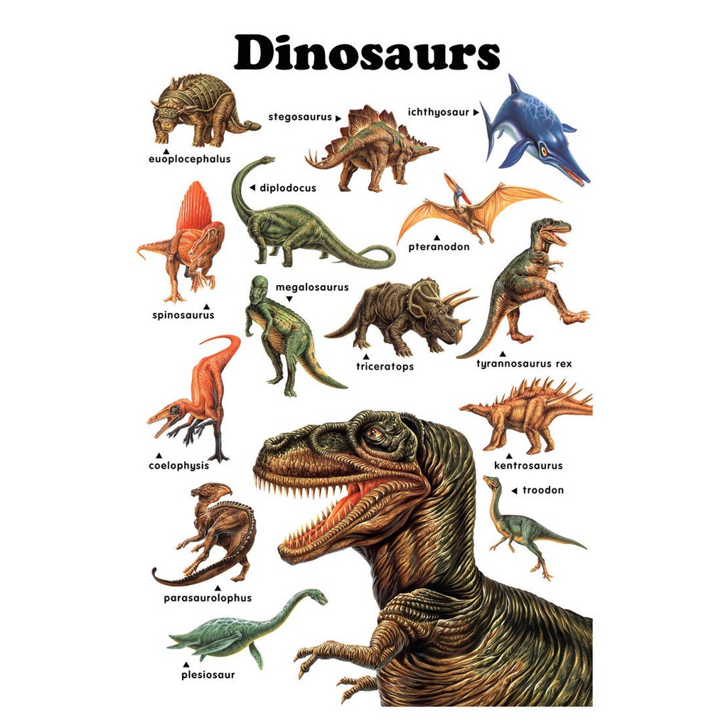 Нептичьи динозавры виды. Динозавры названия. Название разных динозавров. Динозавры картинки. Известные динозавры название.