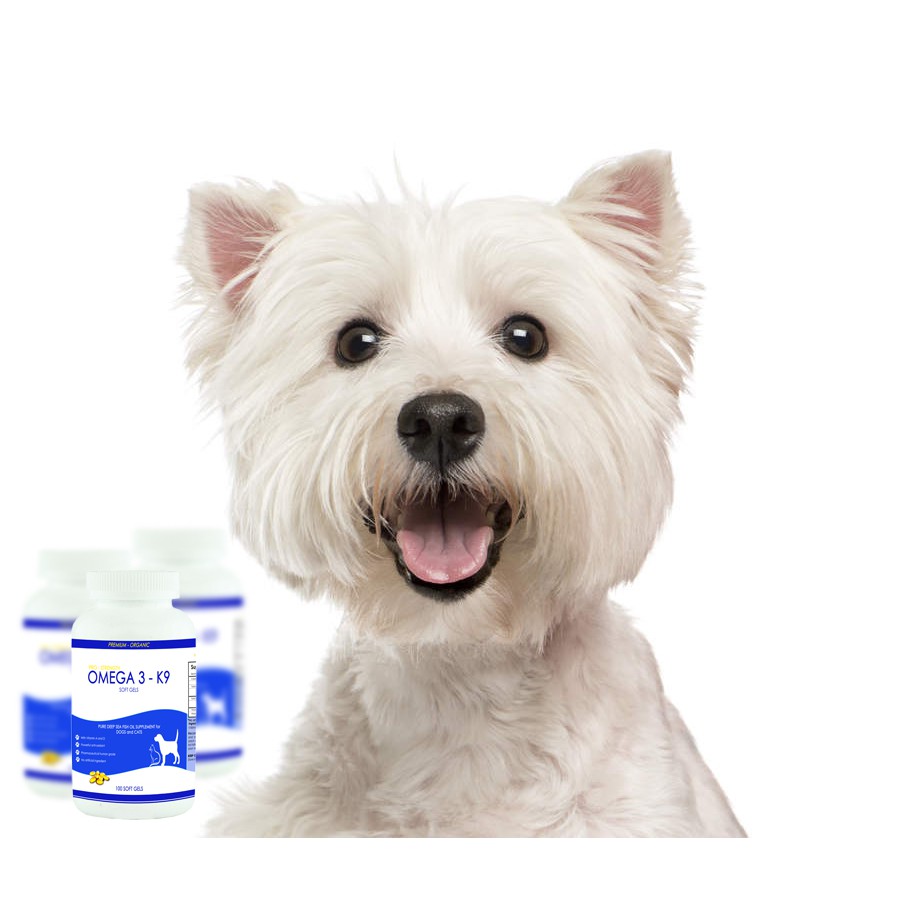 omega 3 k9