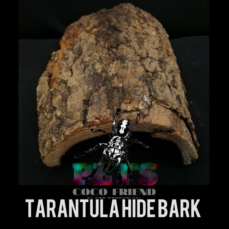 TARANTULA HIDE BARK for subadult and adults tarantulas by pets