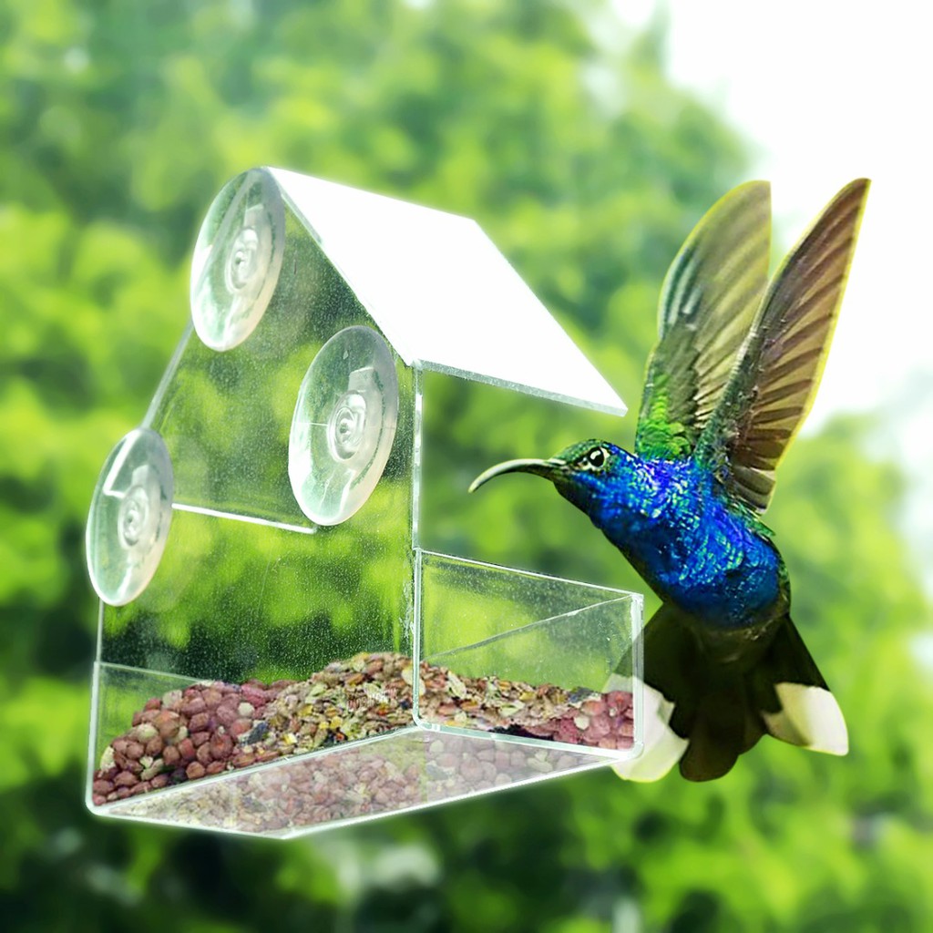 Tingmy Acrylic Bird Squirrel Feeder Tray Birdhouse Window