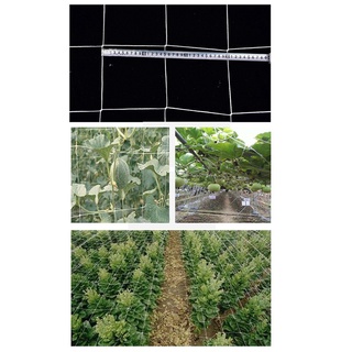 1.67X10M Plant Trellis Netting Heavy-Duty Polyester Plant Support Vine Climbing Hydroponics Garden Net Accessories #7