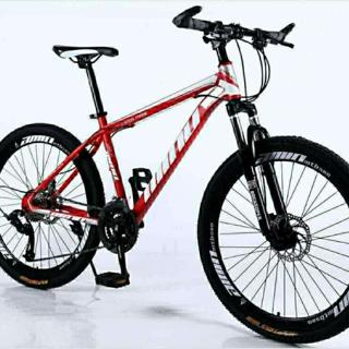 minu mountain bike