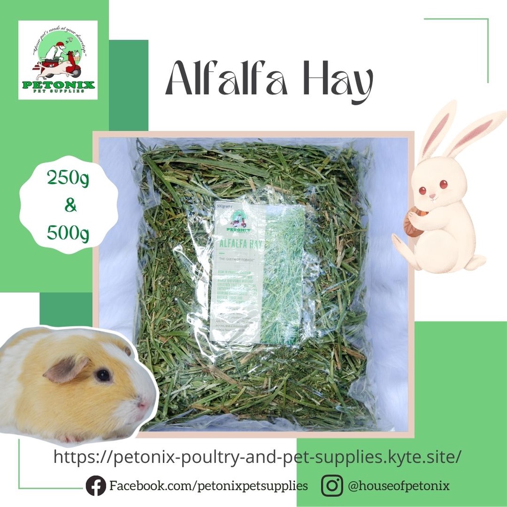 Alfalfa Hay Repacked Rabbit & Guinea Pig Food 250g / 500g Shopee