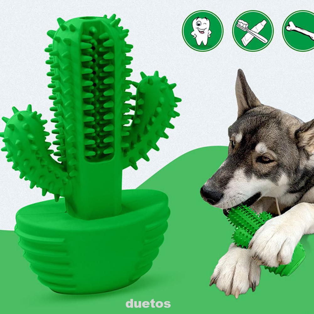 cover the hexagon dog toothbrush