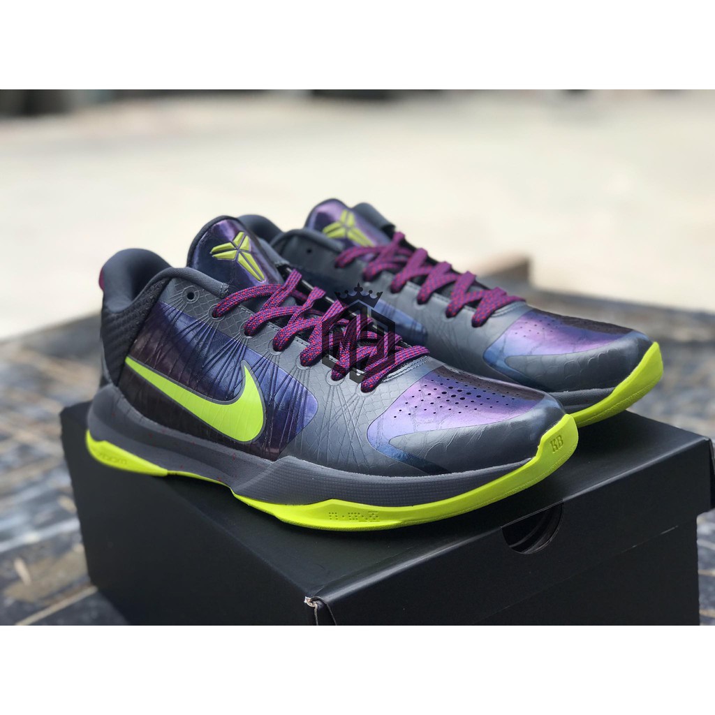 men nike kobe 5 protro chaos