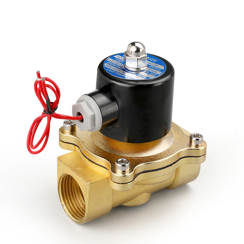 Two Way Electric Solenoid Valve Normally Closed G1 1/4 1/2 G2 220V 12V 24V 110V For Water Air DN25 32 40 50