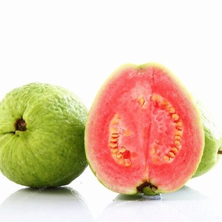 seeds for planting 100pcs  Guava Tree Seeds  Vegetable Fruit Tree Plant Plants for Sale Bonsai Pot H #6