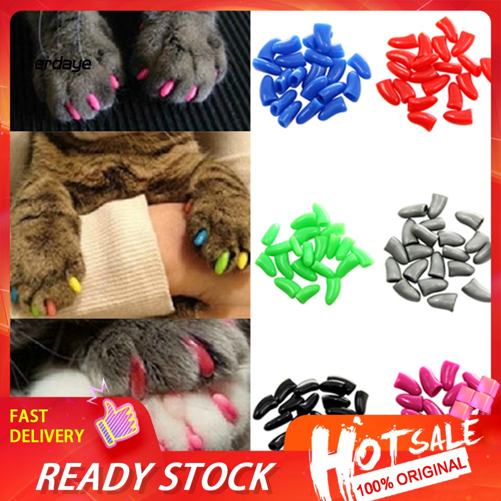 silicone dog nail covers