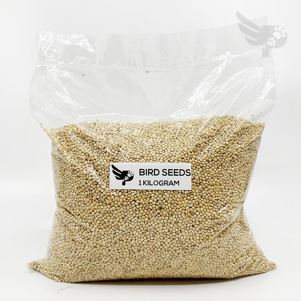 （hot）Bird Seeds (US) 1kilogram Repacked - Feeds Food Philippines Birds Birding pgb petpoultryph #1