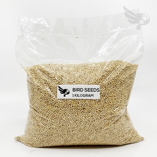 （hot）Bird Seeds (US) 1kilogram Repacked - Feeds Food Philippines Birds Birding pgb petpoultryph #1
