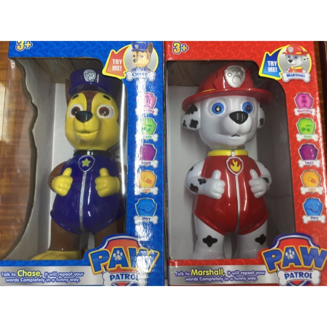 paw patrol divisoria