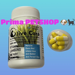Olive Care Cats Cats Gastric Vitamins Drug For Acute Diarrhea Intestine Infection anti-Bacterial And anti Intestine parasis #1