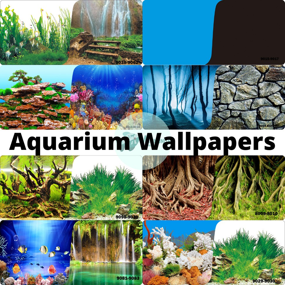 petsRealistic Colorful Aquarium Background Wallpaper 12 & 18 Inches PER METER PRECUT Back To Design #1