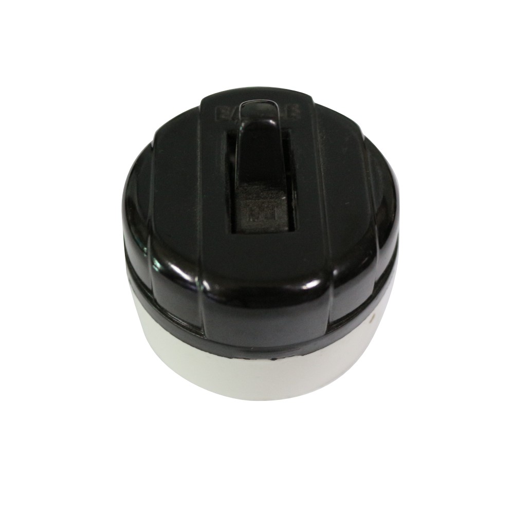 Eagle Tumbler Switch Cat No. 735 C 10A 125V; 5A 250V Shopee