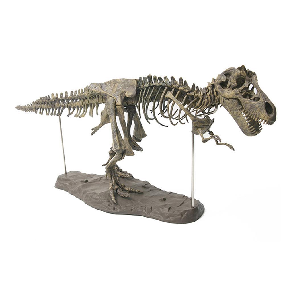 dinosaur skeleton toy