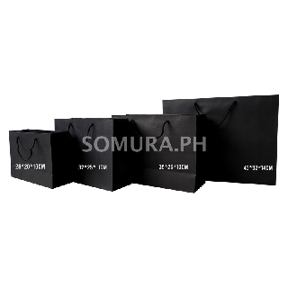 Download White matte laminated rope handle paper bag Sold per pc (SSC164) | Shopee Philippines