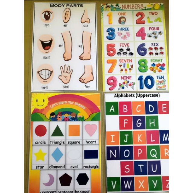 Educational Chart Laminated Shopee Philippines 2754