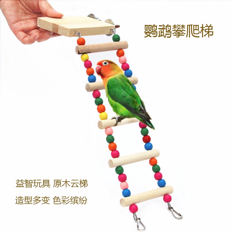 parrot bird toys