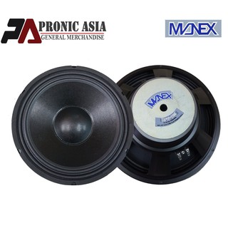 100 watt 12 inch speaker