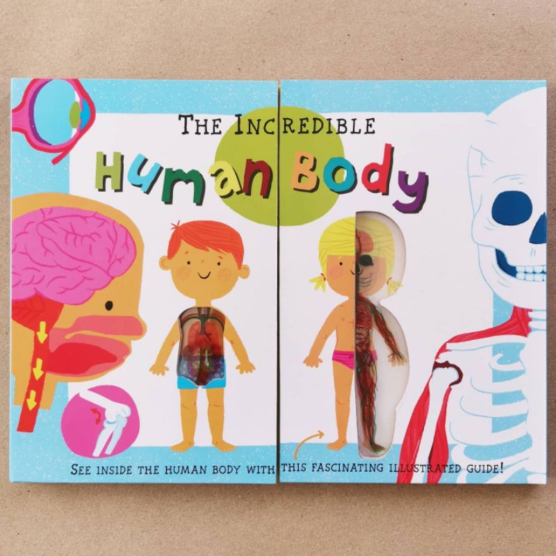 BRAND NEW | The Incredible Human Body board book | Childrens Book