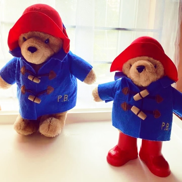 paddington bear plush