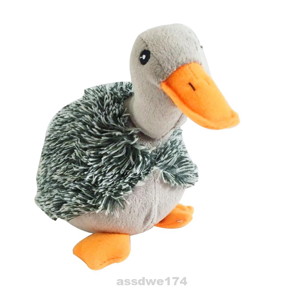 pets at home duck toy