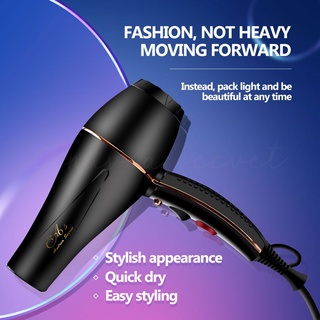 Andrea Secret Professional Hair Dryer Hair Blower AD-G710 | Shopee