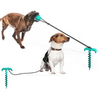 dog on a leash toy