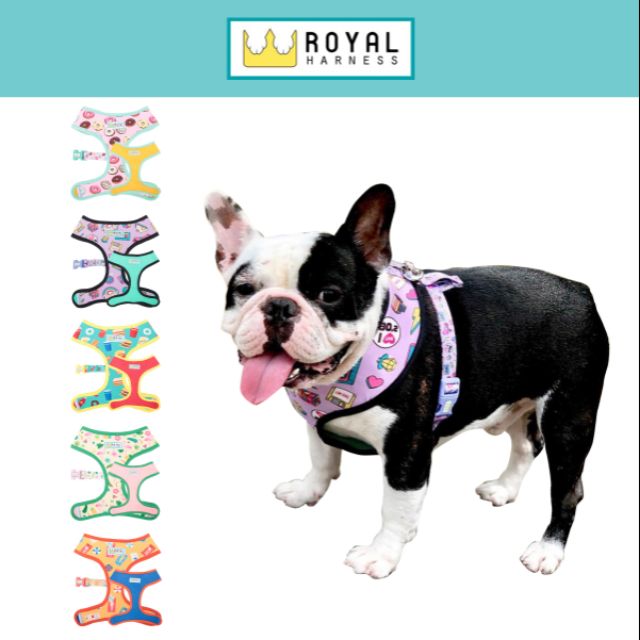 pretty dog harness