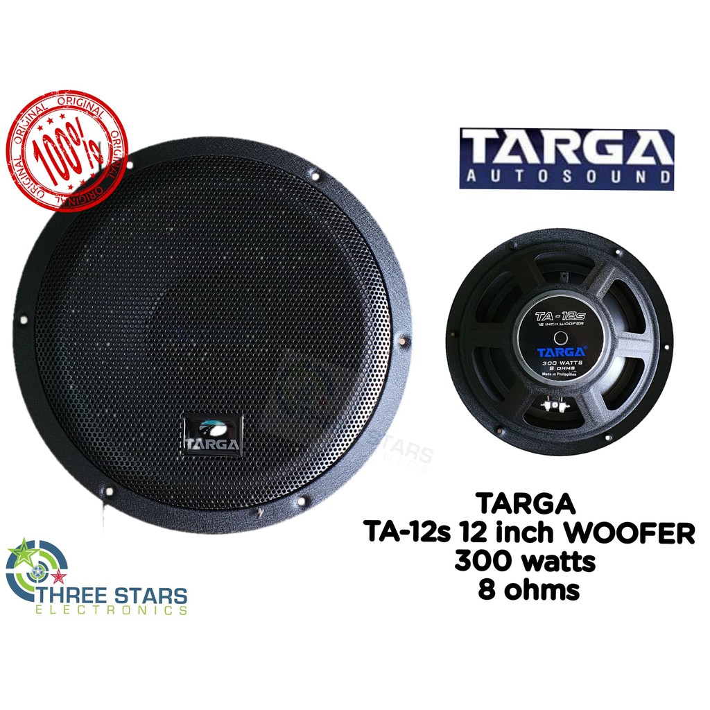 100 watt 12 inch speaker