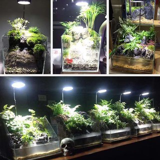 (SG STOCK) DIMMABLE LED LIGHT STAND WITH TIMER TERRARIUM LIGHT, FISH TANK LIGHT, WABI KUSA, PLANTS L #2