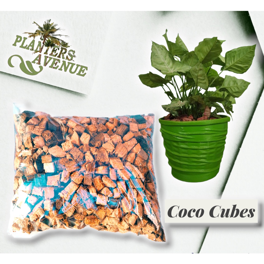 READY TO USE 1 KILOGRAM PURE ORGANIC COCO CUBES GOOD FOR PLANTS AS