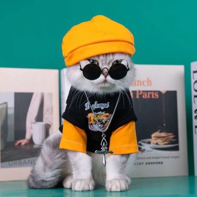 【 Free Hat 】 Cat Clothes Spring Autumn New Style Tiger Year Handsome Thin Sweatshirt Small Dog C #2