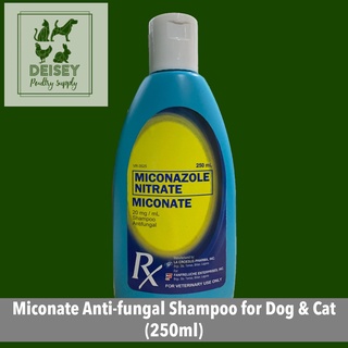 Miconazole Nitrate Miconate Anti-fungal Shampoo for Dog & Cat (250ml)