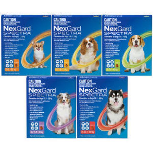 nexgard spectra small dog