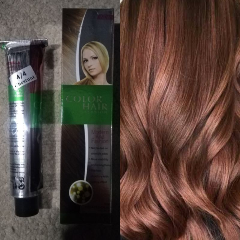 Chestnut hair color 4/4 verdon ne silky 100ml with oxidizing Shopee