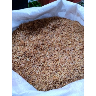 Ipa ng Palay Rice Hull 40 Liters Per Sack | Fresh Rice Husk per ...