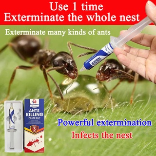 One infected whole nest died ant bait killer gel ants powder killing repellent home pest control tra