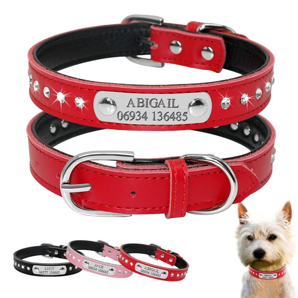 dog collars for sale