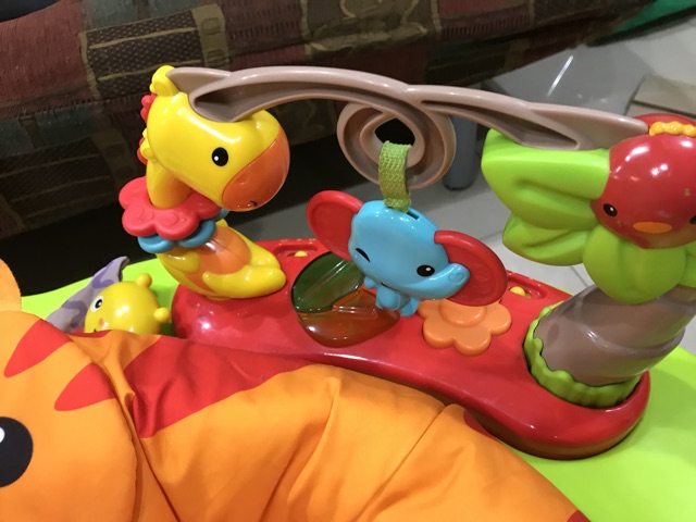 jumperoo safety rosa