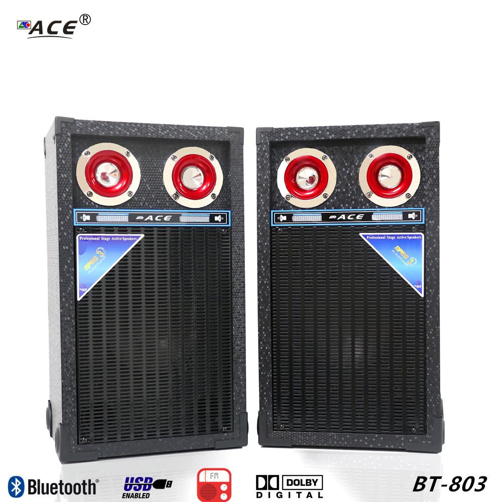 8 inch speaker amplifier