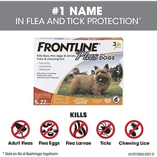 Frontline Plus for Dogs Cats Flea and Tick Spot Treatment Repellent Anti-Flea Anti-Itching 1piece #8