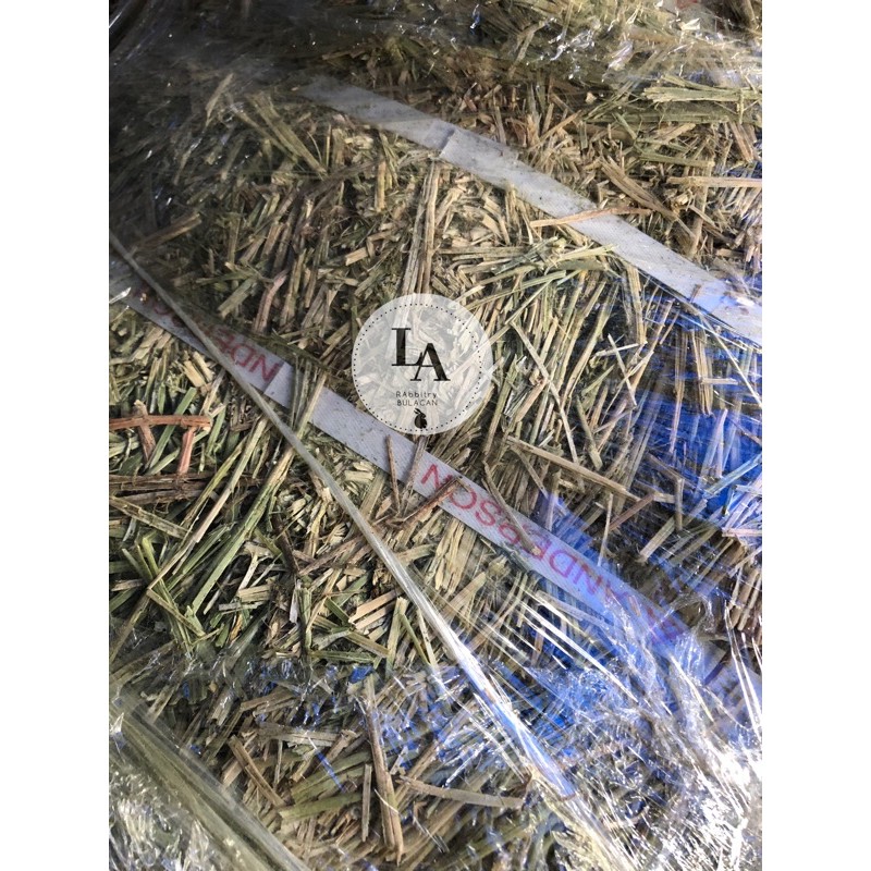 hay wheel for guinea pigs