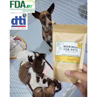 150 grams Malunggay Powder for Dogs / Pure Locally-Grown/Farm-grown Natural Organic, Moringa Powder