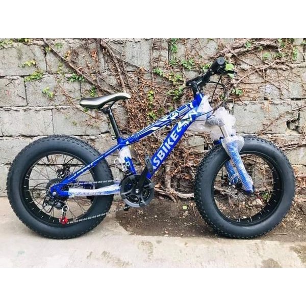 asbike fat bike