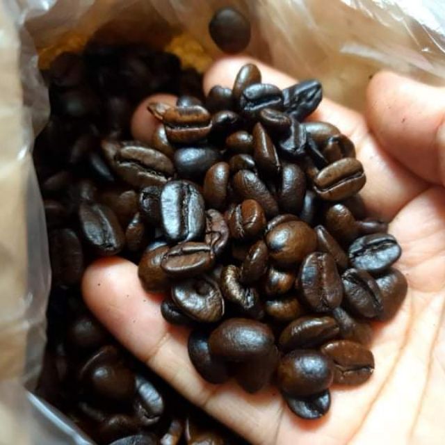 arabica coffee beans philippines