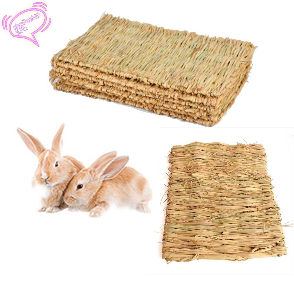 Small Animals Seagrass Mat Mat Woven Grass Handmade Shopee