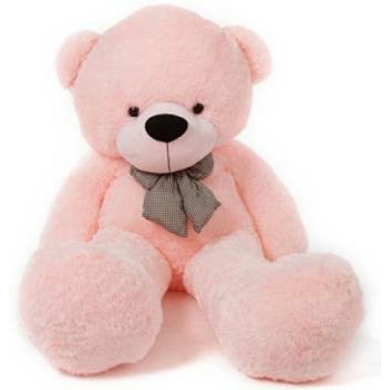 5 feet teddy bear at low price