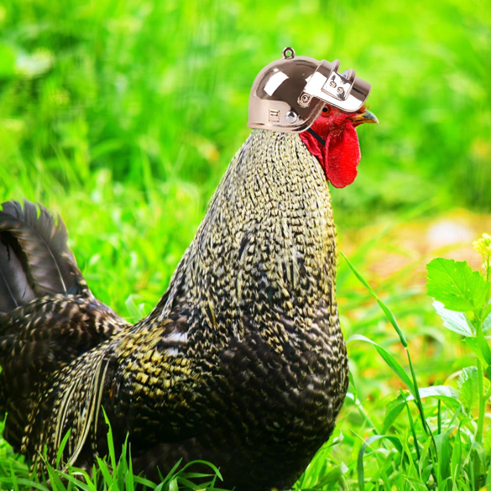 Chicken Helmet Small Pet Hard Hat Funny Chicken Helmet Hen Hard Bird Hat  Headgear Protective Pet Hel | Shopee Philippines